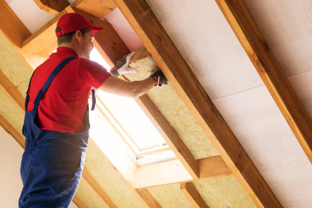 Best Spray Foam Insulation  in Zebulon, GA